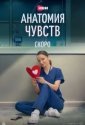 Анатомия чувств (2026)