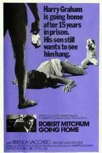 Иди домой (1971)