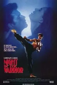 Ночь бойца (1991)