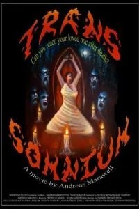 Чёрные призраки (2015)