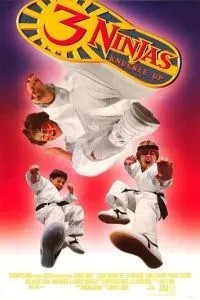Три ниндзя: Костяшки вверх (1993)