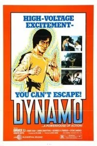Динамо (1978)
