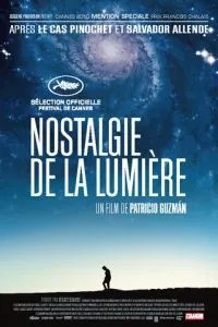 Ностальгия по свету (2010)