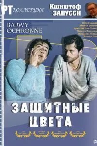 Защитные цвета (1977)