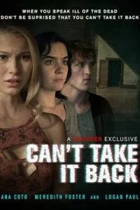 Необратимое (2017)