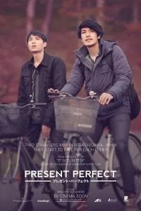 Настоящее совершенное (2017)