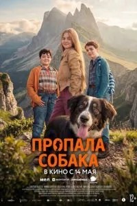 Пропала собака (2025)