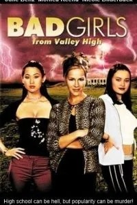 Плохие девчонки из высокой долины (2005)
