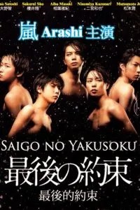 Последнее обещание (2010)