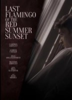 Последний фламинго красного летнего заката (2024)