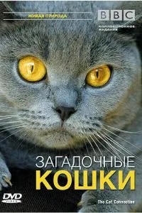 BBC: Загадочные кошки (2002)