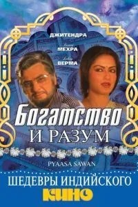 Богатство и разум (1981)