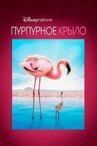 Пурпурное крыло (2008)