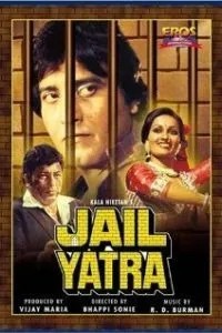 Тюремное заключение (1981)