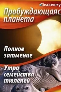 Пробуждающаяся планета (2004)
