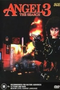 Ангелочек 3: Последняя глава (1988)