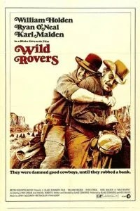 Дикие бродяги (1971)