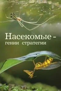 Насекомые - гении стратегии (2021)