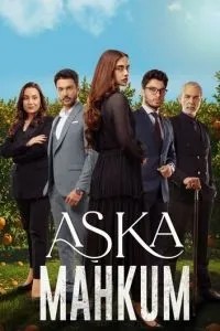 Заключенный любви (2025)