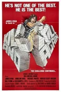 Убить дважды (1981)