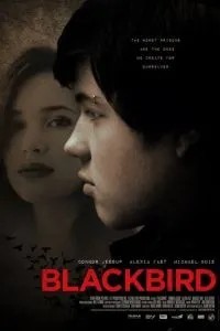 Чёрный дрозд (2012)
