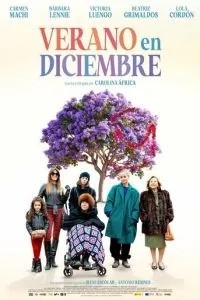 Лето в декабре (2024)
