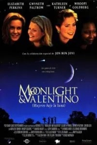 Лунный свет и Валентино (1995)