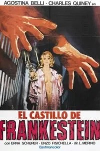 Замок с огненными воротами (1970)