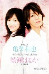 Любовь моей жизни (2006)