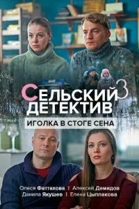 Сельский детектив 3. Иголка в стоге сена (2020)