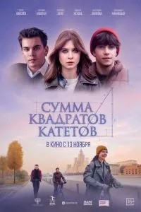 Сумма квадратов катетов (2024)