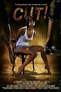 Снято! (2014)