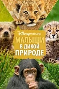 Малыши в дикой природе (2015)