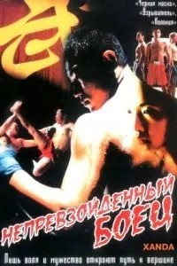 Непревзойденный боец (2004)