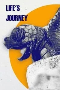Путешествие жизни (2017)