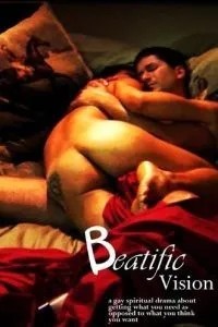 Прекрасное виденье (2008)