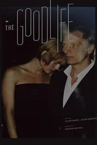 Идеальная жизнь (2010)