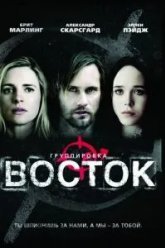 Группировка «Восток» (2013)