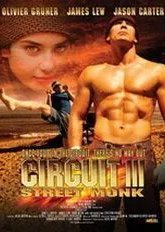 Вихрь 3 (2006)