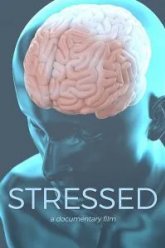 Stressed (2019)