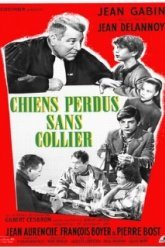 Бродячие собаки без ошейников (1955)
