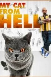 Адская кошка (2011)