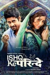 Любовь не знает границ (2015)