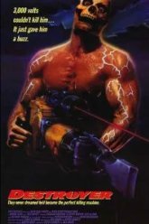 Истребитель (1988)