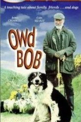 Старина Боб (1998)