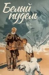 Белый пудель (1955)