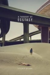 В поисках наслаждения (2017)