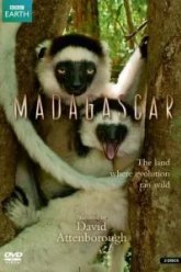 BBC: Мадагаскар (2011)