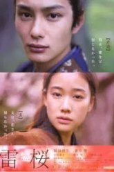 Молния для дерева (2010)