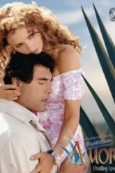 Чистая любовь (2007)